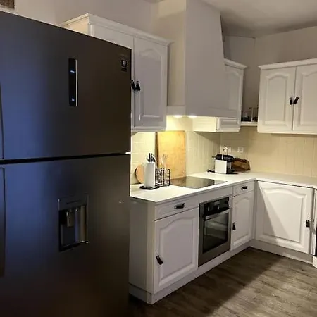 Superbe Duplex En Hyper Centre Saint-Etienne (Loire)