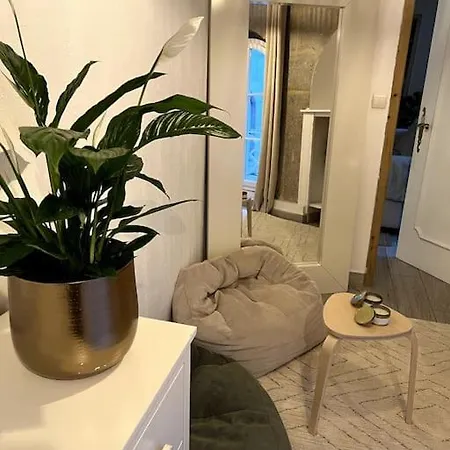 Superbe Duplex En Hyper Centre Apartment *