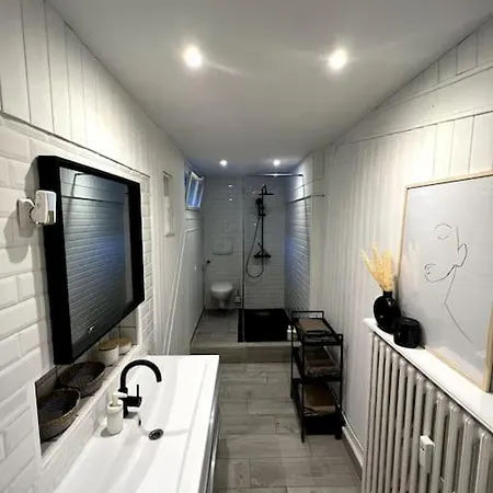 Apartment Superbe Duplex En Hyper Centre Saint-Etienne (Loire)